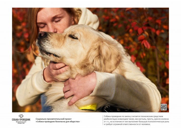 В Екатеринбурге открывается первая фотовыставка собак-поводырей